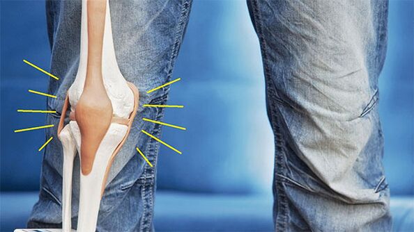 belauneko artikulazioan mina